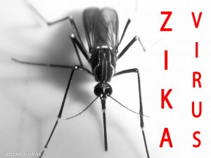 zikavirus